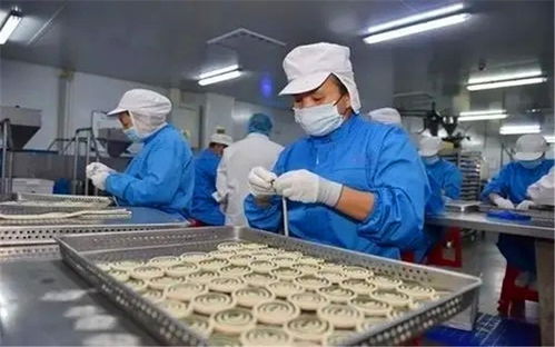 在小縣城投入20萬辦廠 聚焦寵物食品，掘金藍海市場的快車道